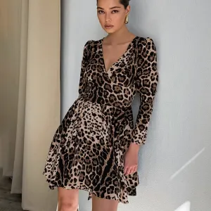 Leopard Print V Neck Slim Fit Dress